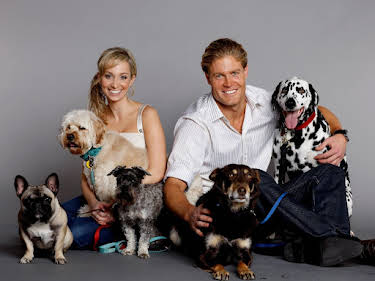 07:25: Australiens Tierrettung - Einsatz am Bondi Beach | Sixx | 3/29 2026