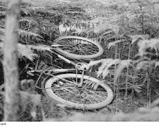 Mysteriöse Kriminalfälle der DDR