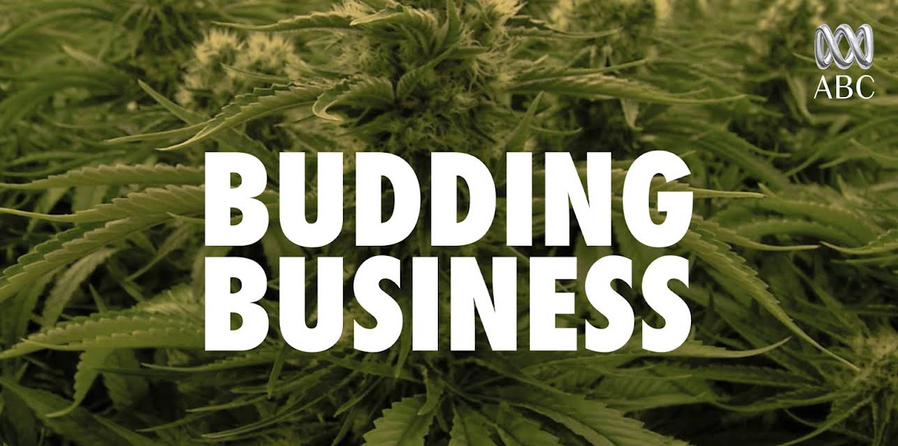 Budding Business (2019)