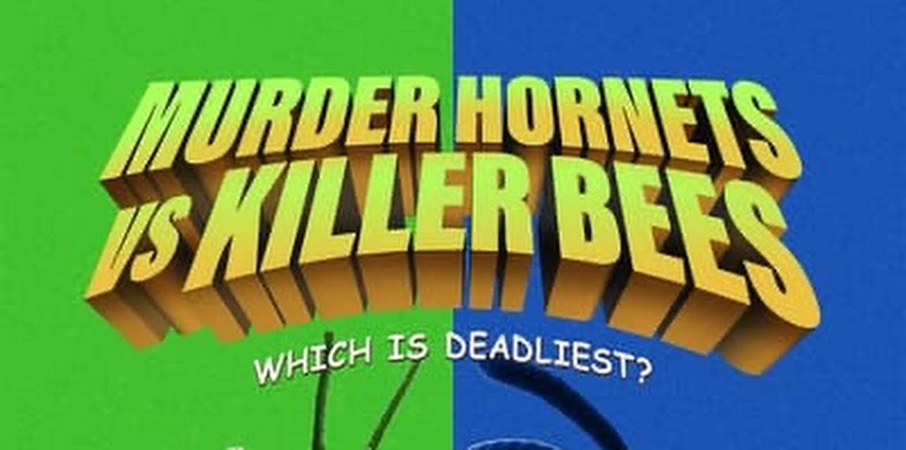 Murder Hornets Vs Killer Bees (2020)