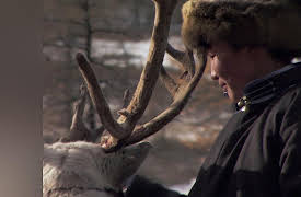 Becoming a Man: Tracking the White Reindeer