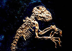 Weltwunder in Hessen