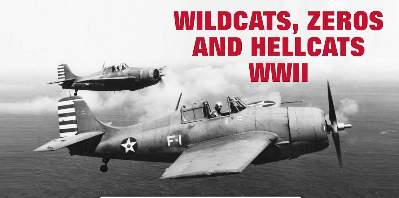 Wildcats, Zeros and Hellcats - WWII