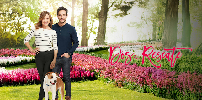 Dos al rescate (2019)