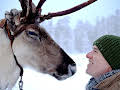 Reindeer Family and Me