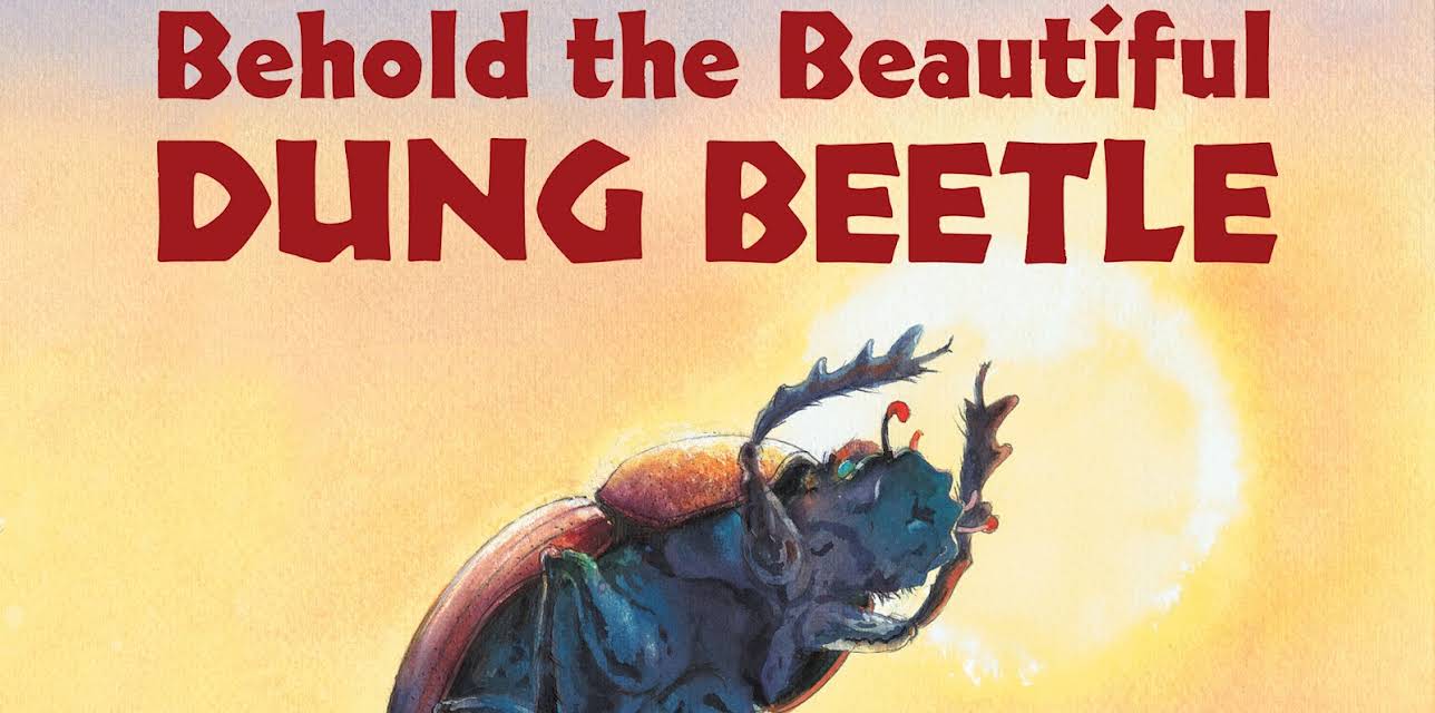 Behold the Beautiful Dung Beetle