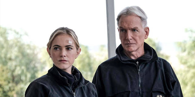 7:00 PM: NCIS (S17 E13) (S17) | 5 USA | 12/11 2025