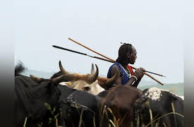 Nomads Of The Serengeti: Cradle of Mankind