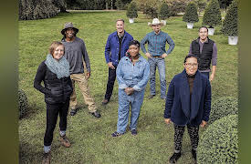 Clipped: Getting to Know Yew