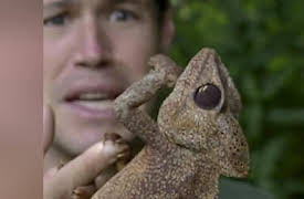 The Jeff Corwin Experience: Season 1: Madagascar: The Land That Time Forgot