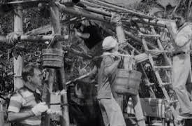 Gilligan's Island: The Complete First Season: Home Sweet Hut