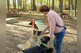 Dog Training 101: On The Road: Training in Public Spaces