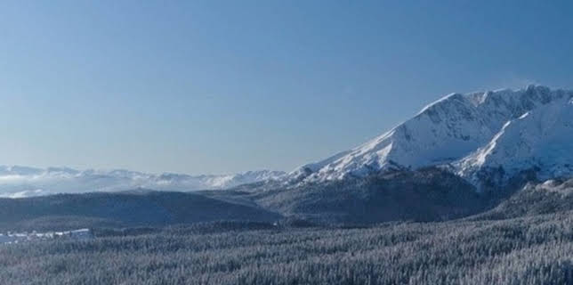 Winter Wonderland II (2022)