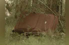 Dark Memories: Crimes From the Balearic Islands: The Boy and the Suitcase