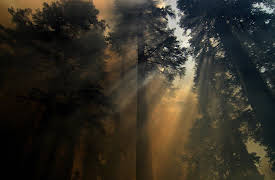 Deadly Standoffs season-1: Burning Rainbow Farm