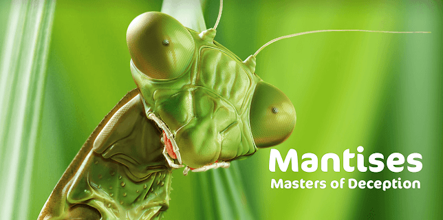Mantises - Masters of Deception (2018)