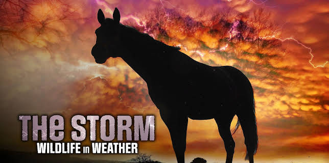 The Storm: Wildlife in Wild Weather (2025)