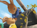 Peter Rabbit