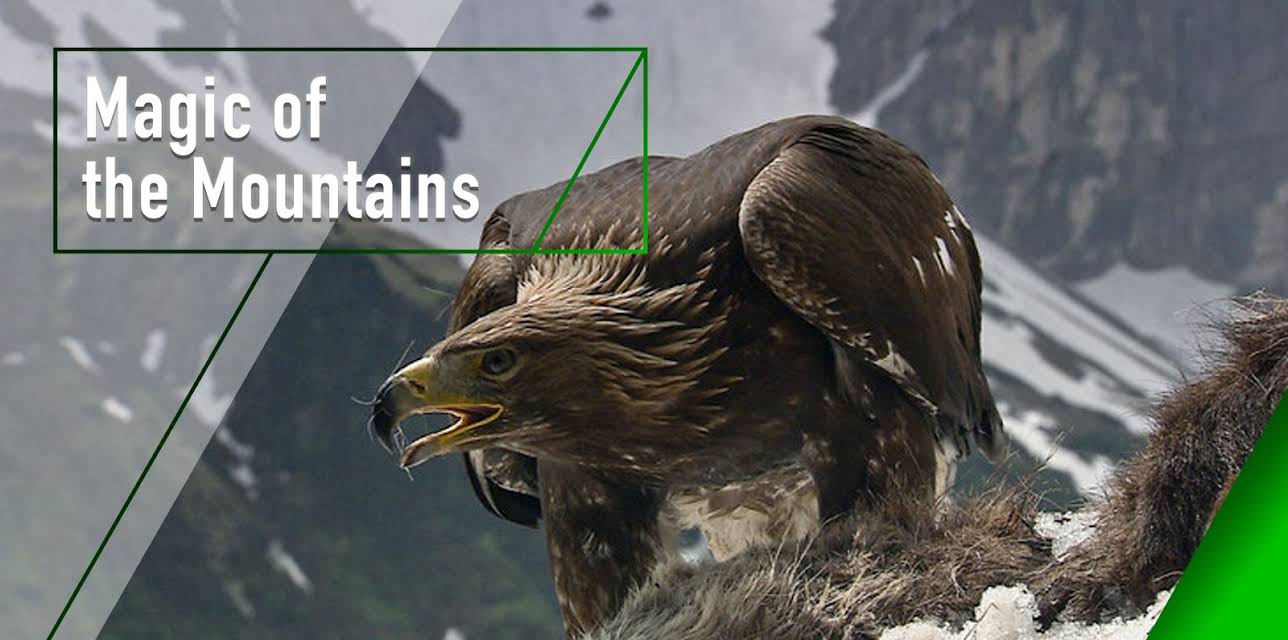 Magic of the Mountains (2013)