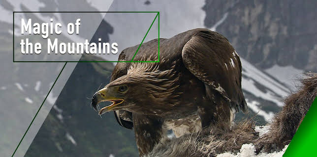 Magic of the Mountains (2013)