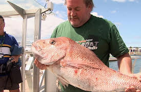 Gone Fishin S4: Tournament Time: The Beach and Boat