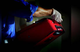 Hollywood and Crime: Red Carpet To Hell