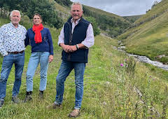 Escape to the Country