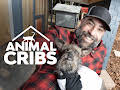 Animal Cribs