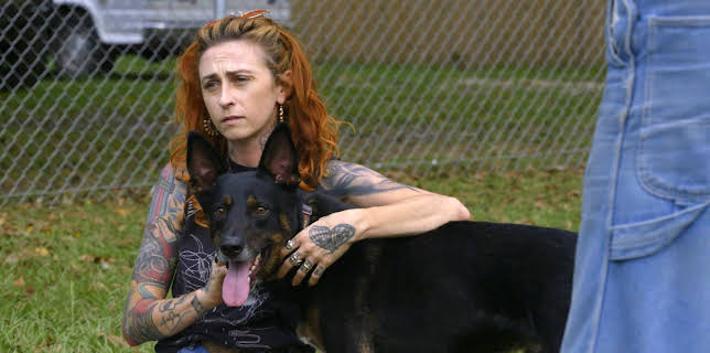 15:00: Pit Bulls & Parolees (S9 E13) (S9) | Animal Planet | 1/28 2026