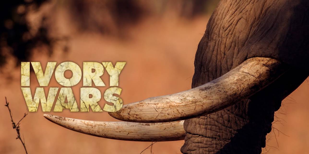 Ivory Wars