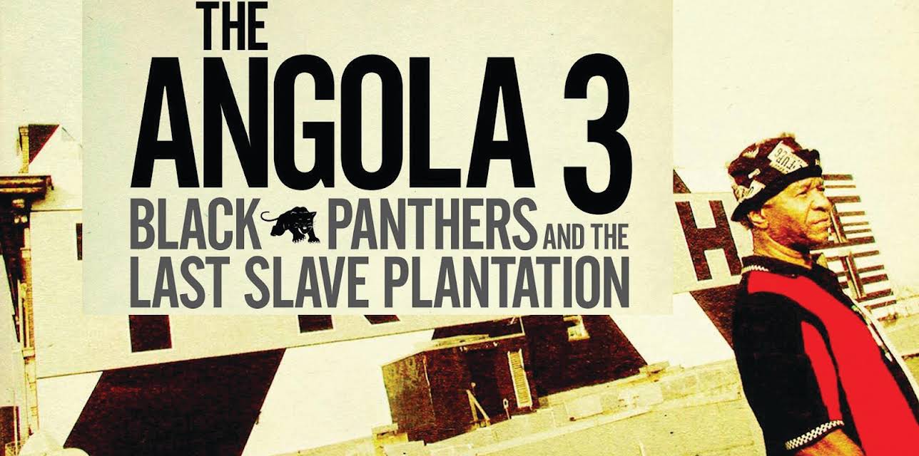 Angola 3 - Black Panthers And The Last Slave Plantation (2008)
