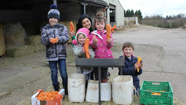 12:20 PM: Down on the Farm (S2) | Cbeebies | 8/15 2026
