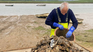 7:00 PM: Norfolk and Suffolk: Country & Coast (S1 E5) (S1) | Channel 5 | 6/12 2026
