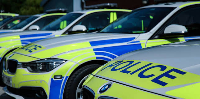 12:00 PM: Traffic Cops (S9 E15) (S9) | 5 Star | 11/14 2025