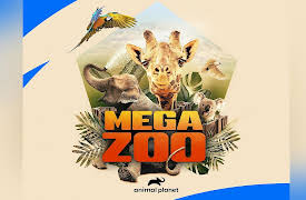 Mega Zoo Season 1: Miskas Big Reveal