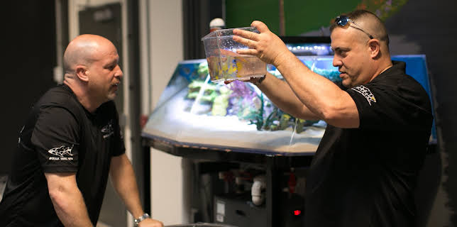 09:25: Akvariedesignerne (S5 E4) (S5) | Animal Planet | 3/4 2026