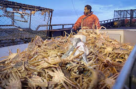 Deadliest Catch, Season 20: Nothin' but Mammals