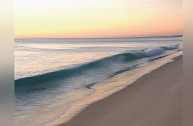 Masters of Mindfulness: Transforming Your Mind and Body: Blue Mind: The Healing Power of Water