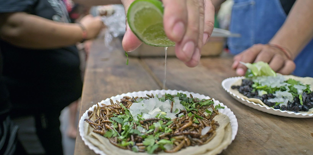 18:35: Die Welt der Zitrusfrüchte | Arte | 1/7 2026