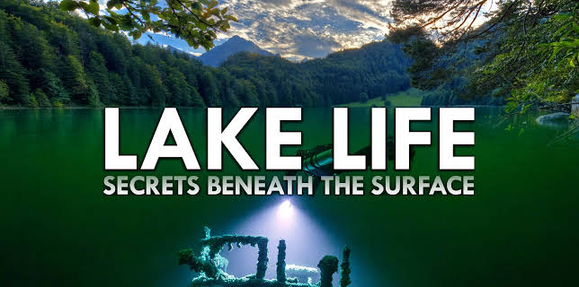 Lake Life: Secrets Beneath the Surface