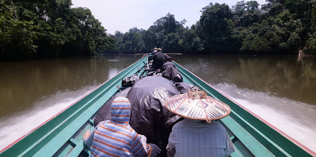 00:00: Fish or Die (S1 E5) (S1) | Animal Planet | 11/20 2025