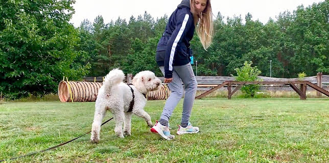 06:10: Liebste Fellnasen – Abenteuer Hundeschule (4/8) | Das Erste | 1/10 2026