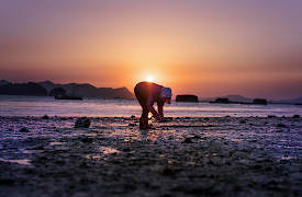 Actor Kim Eui Sung's Exploring Taverns in Small Towns: Actor Kim Eui Sung's Exploring Taverns in Small Towns EP11