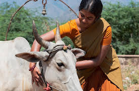 Food Lore: A Plate of Moon