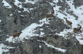 Destination Wild Mediterranean: Heartlands