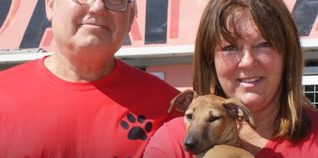 Bargain-Loving Brits in the Sun