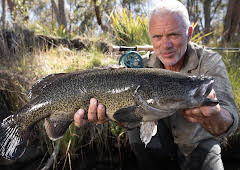Jeremy Wade's Dark Waters