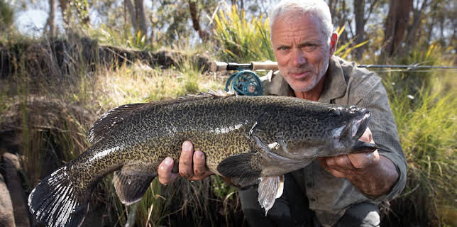 00:45: Fiske i mystiske farvann (S1 E7) (S1) | Animal Planet | 11/5 2025