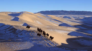 4:55 PM: Planet Earth (S1 E5) (S1) | Yesterday | 12/24 2025