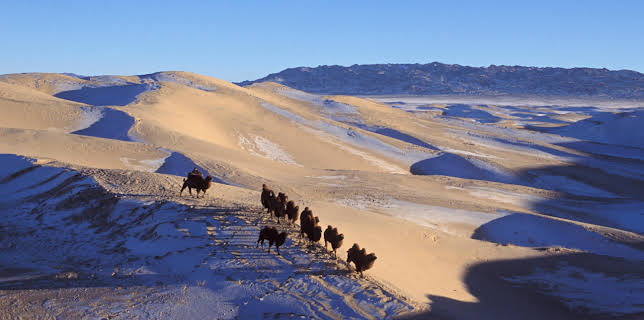 5:00 PM: Planet Earth (S1 E5) (S1) | Yesterday | 11/9 2025